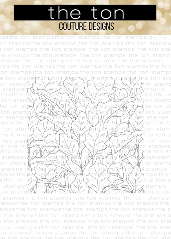 Fig Leaves Cling Background*