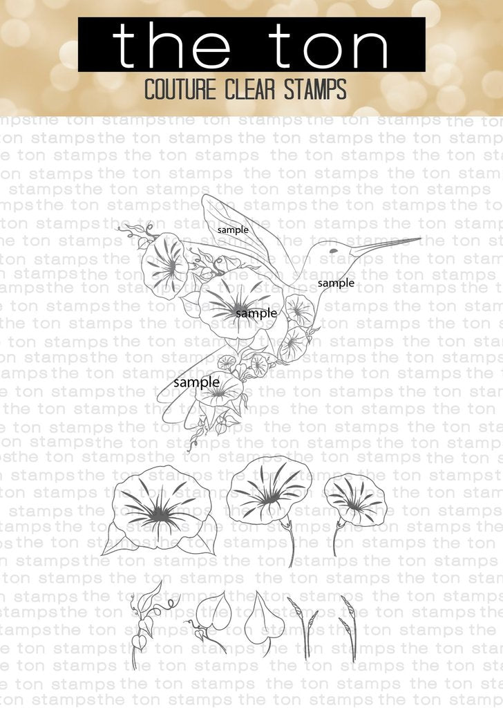 Transformation Hummingbird*