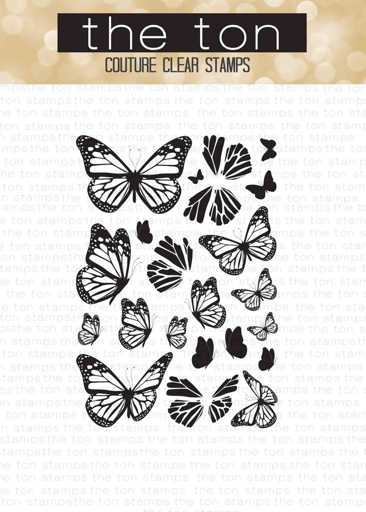 Beautiful Butterflies 1*
