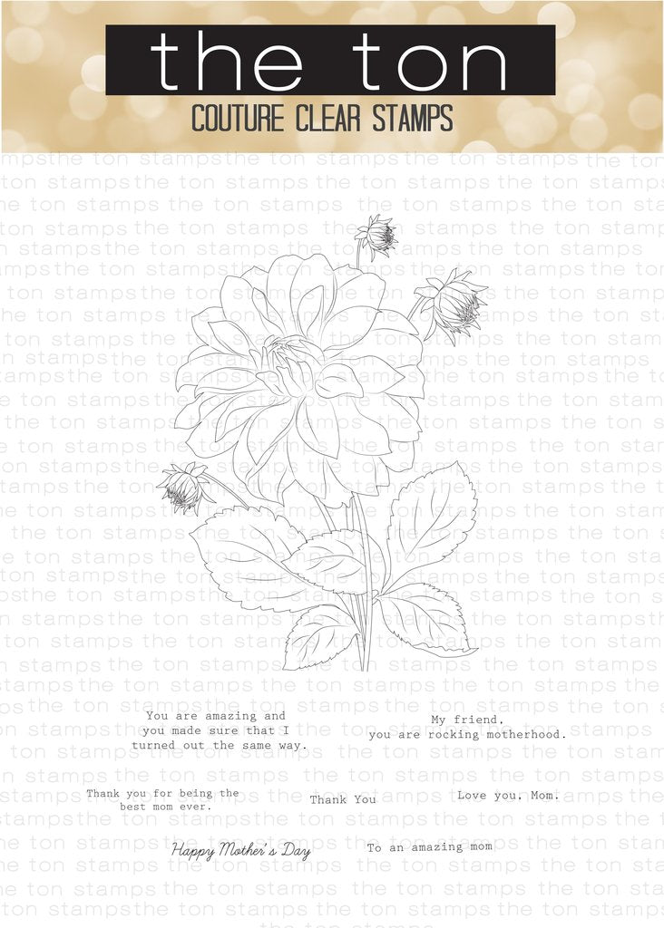 Coming Up Dahlias*