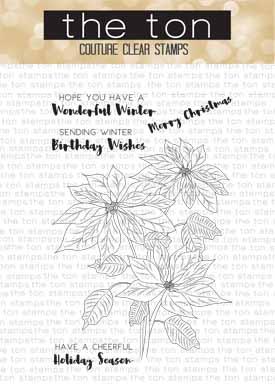 Coming Up Poinsettias*
