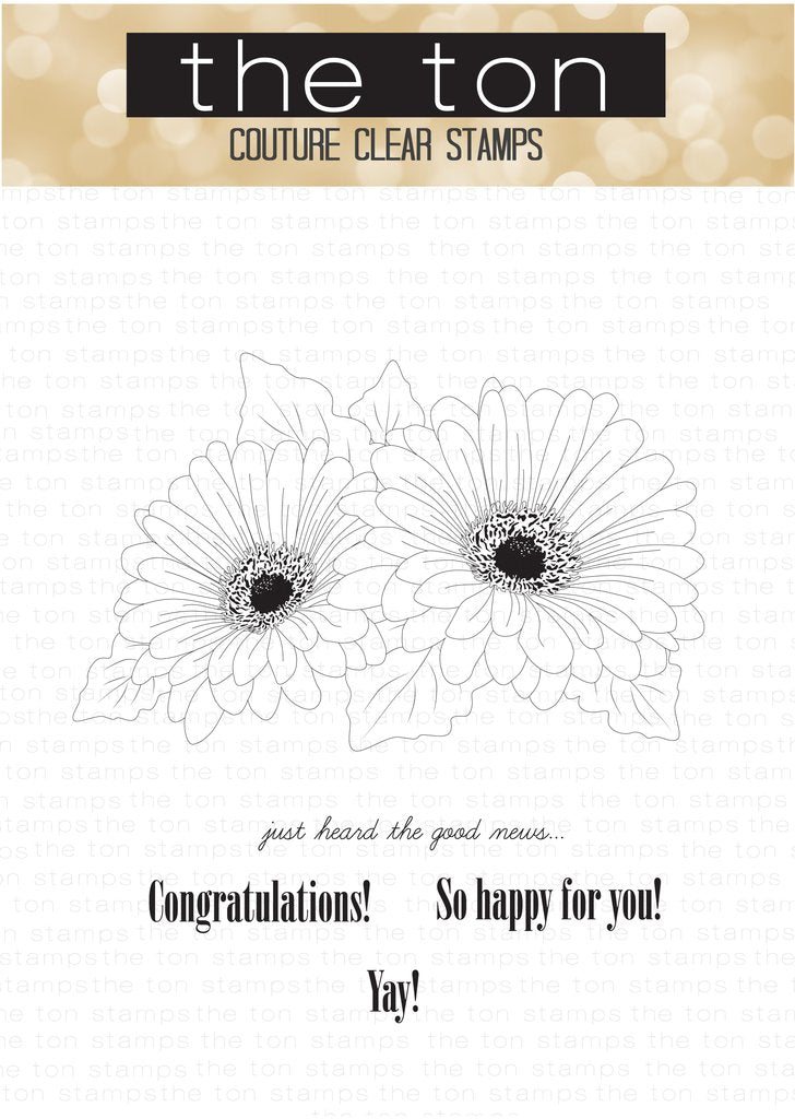 Daisy Duet*