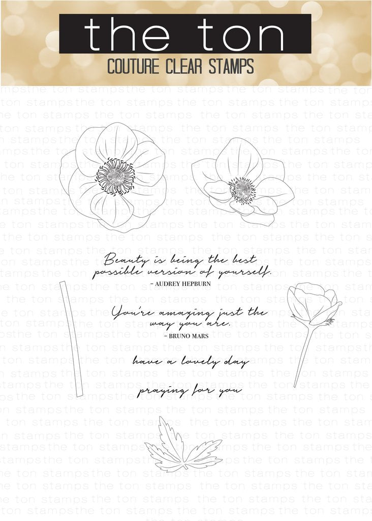 Fresh Cut Anemones (Coord. Outlines)*