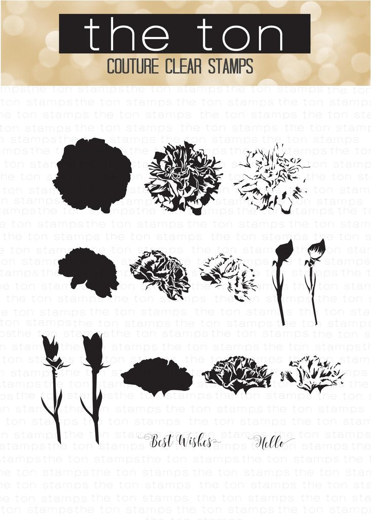 Fresh Cut Carnations*