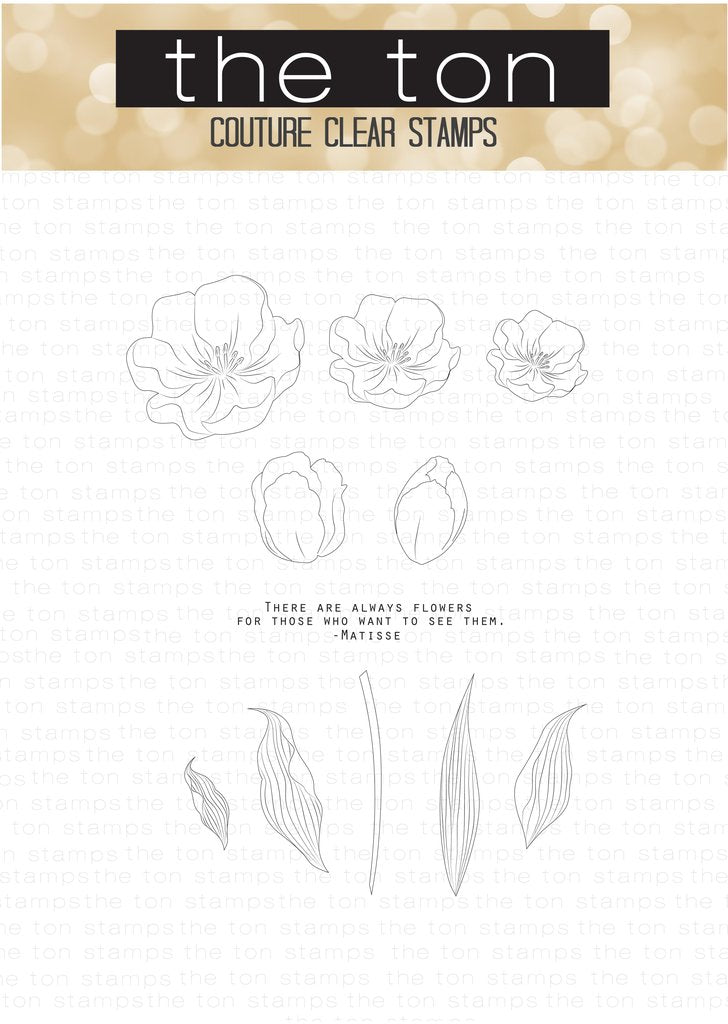 Loose Tulips*