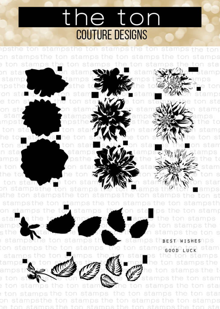 Grouped Fresh Dahlias*