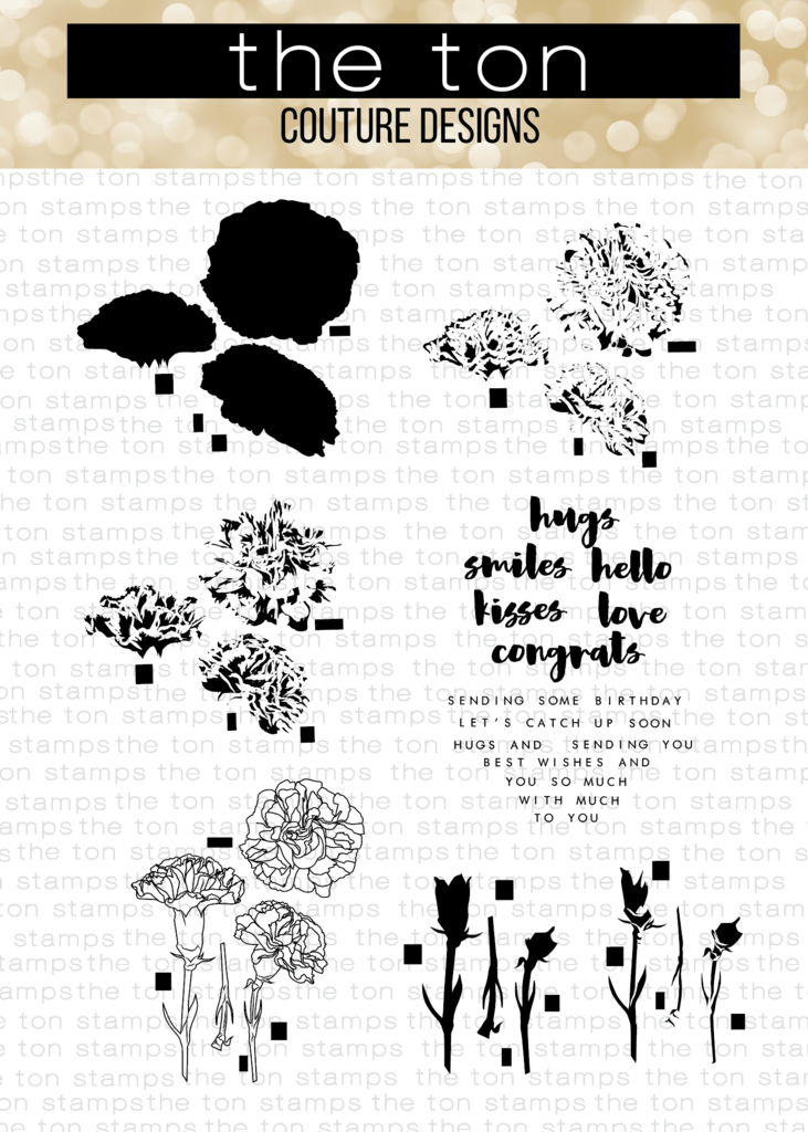 Grouped Fresh Carnations (9x12)**