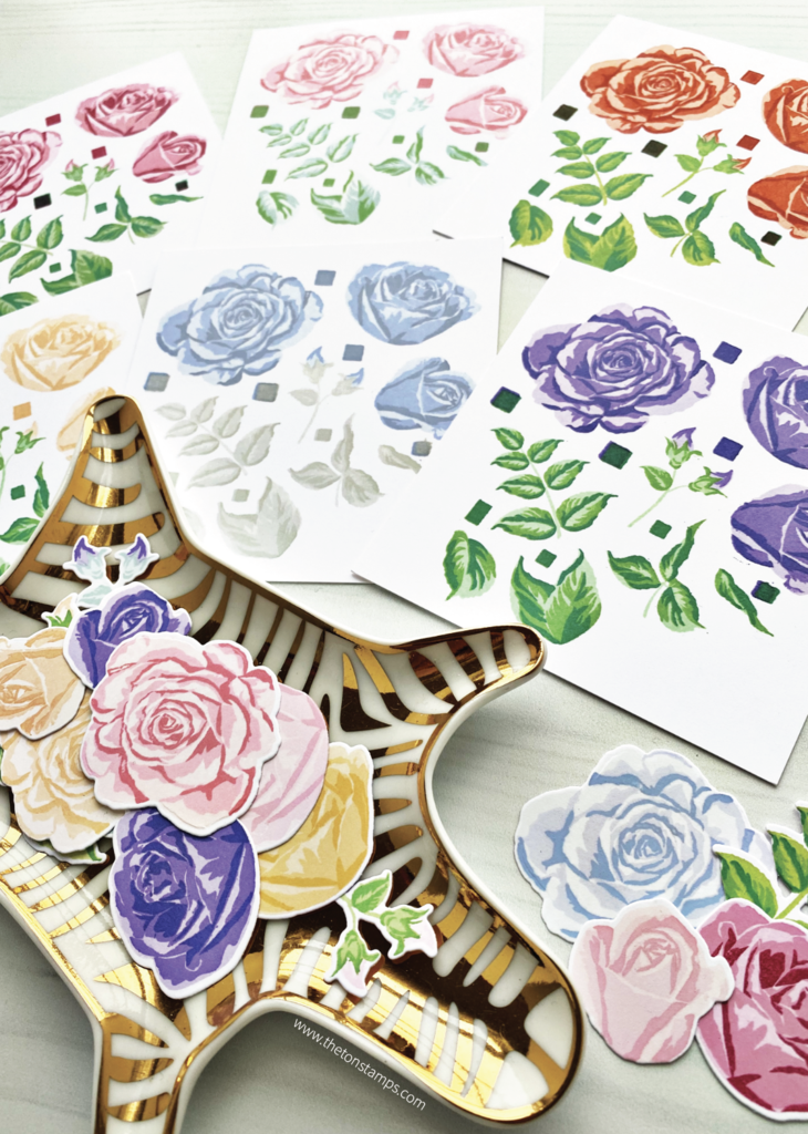 Grouped Fresh Garden Roses (6x8)**