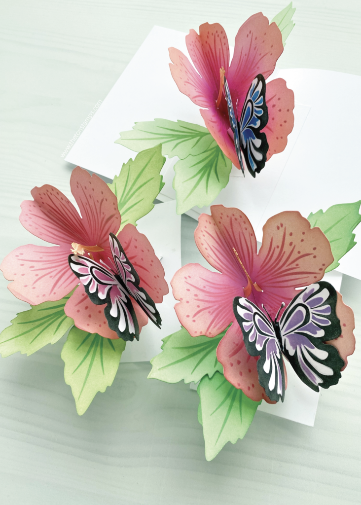 Hibiscus Pop Up Dies*
