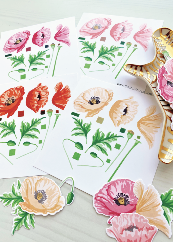 Grouped Fresh Poppies (9x12)**