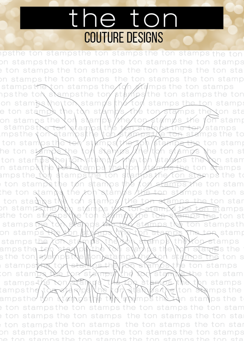 Refreshing Evergreen Cling Background*