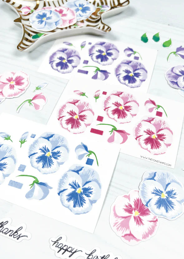 Grouped Fresh Pansies*