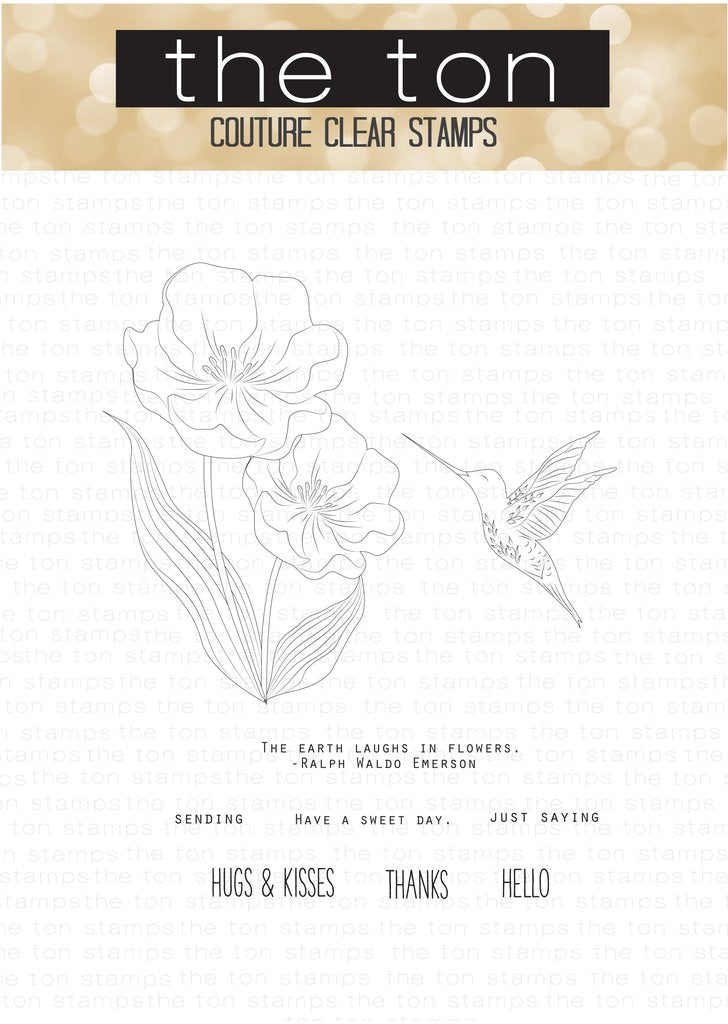 Sweet Folk Hummingbird*