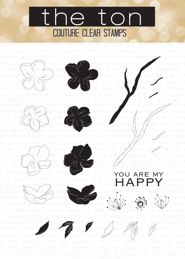 Wild Cherry Blossoms*