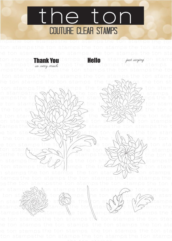 Thankful Chrysanthemum*