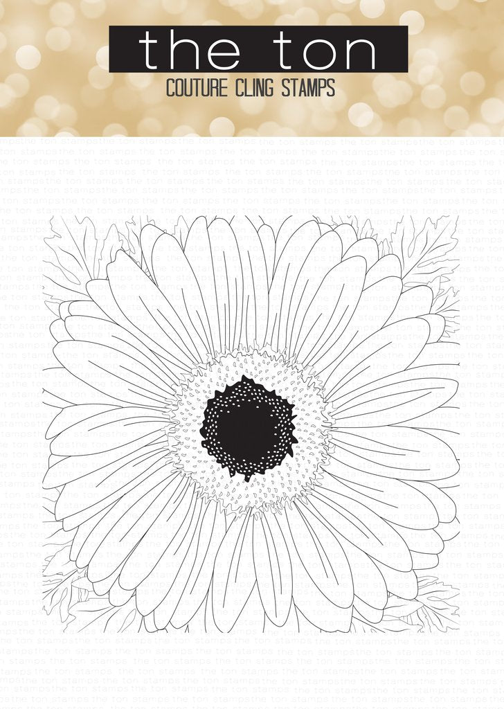 Daisy (Full View) Close Up Cling Background*