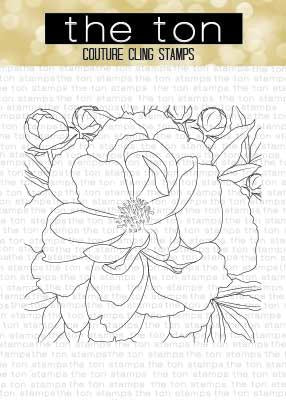 Peony Close Up Cling Background*